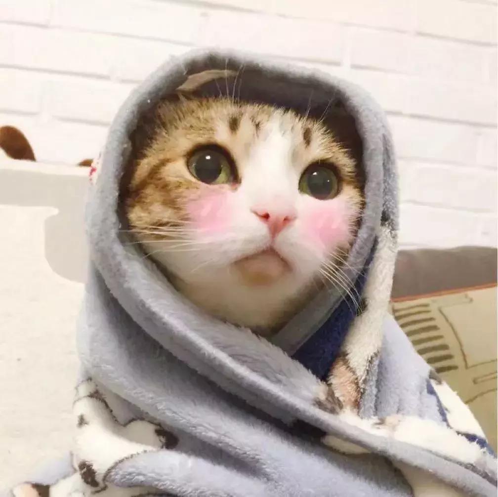 广州手信可以带什么,广州手信必买清单白云