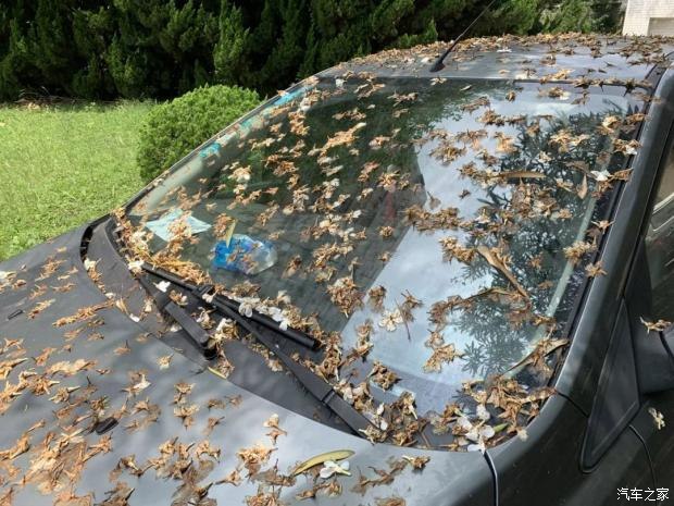 夏天高温保护车漆办法,夏天暴晒对车漆有影响