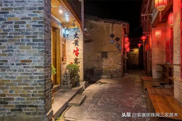 黄姚古镇大黄牛客栈团购优惠,贺州市昭平县黄姚古镇大黄牛客栈