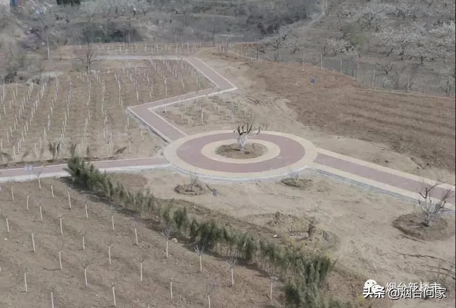 烟台只楚片区规划山体公园地点,只楚村烟台