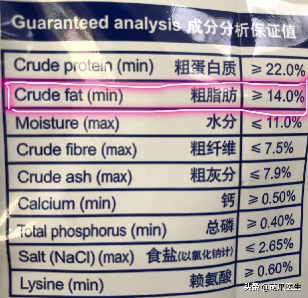 猫咪居然“长黑头”！？是家里太脏了吗！