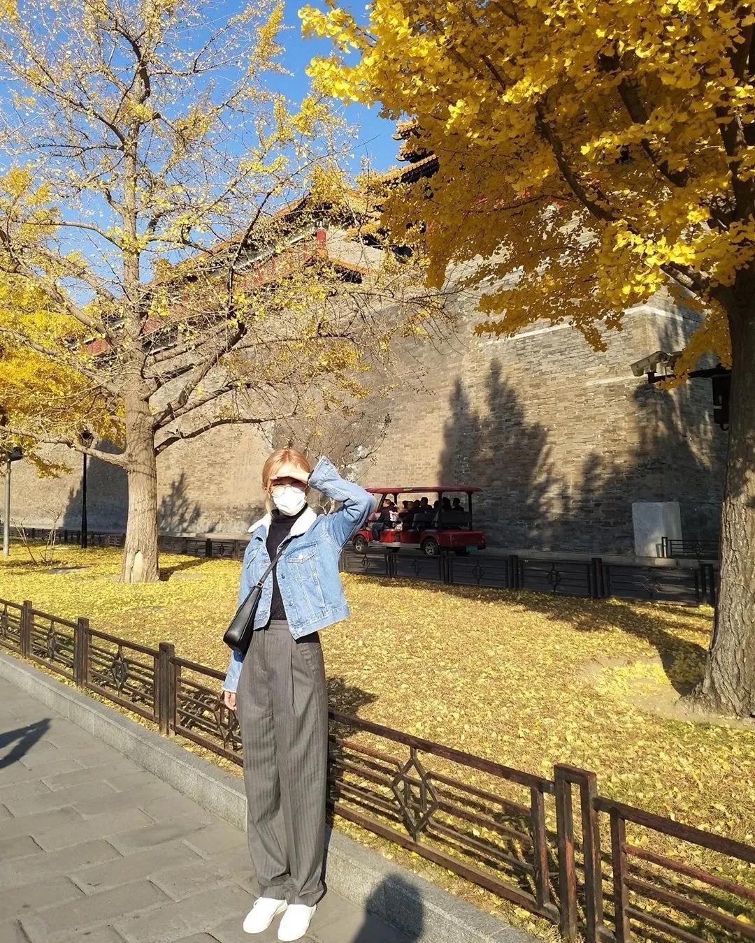 blackpink的朴彩英rosie,blackpink朴彩英澳洲玫瑰歌名