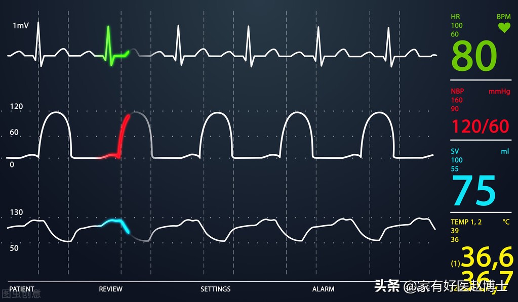 心跳越快,寿命越短?“理想的心率”应该具有哪些特征?