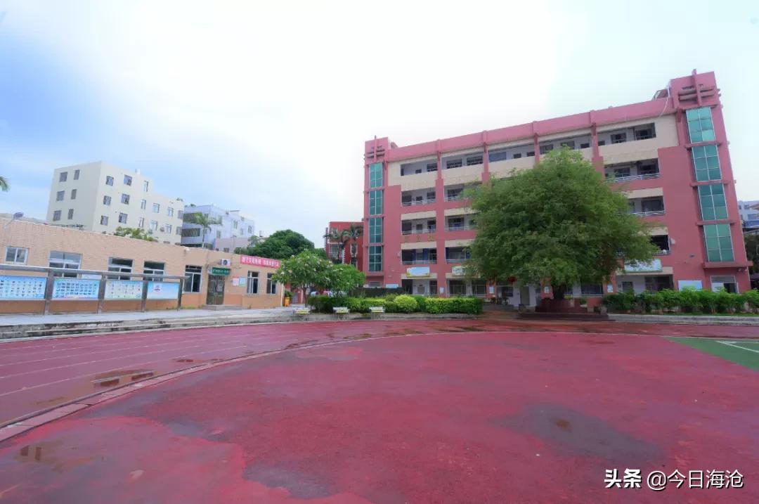 厦门鹭江新城小学,厦门市今年新建小学有哪些