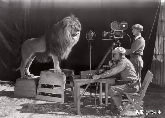 年轻时的霍金照,霍金年轻时照片有多帅