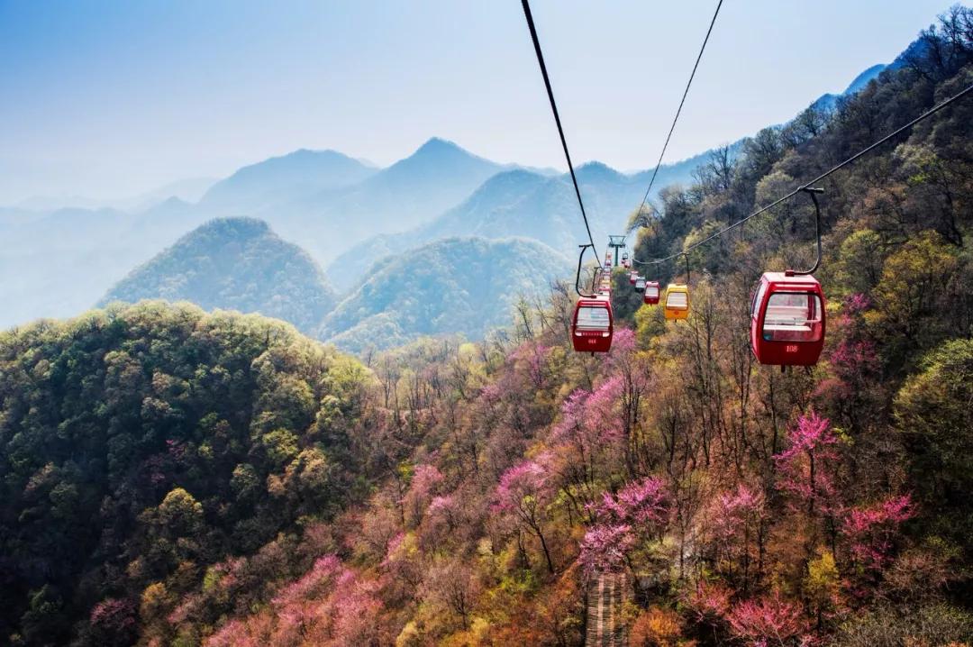 洛阳第三职专,洛阳第三季度gdp