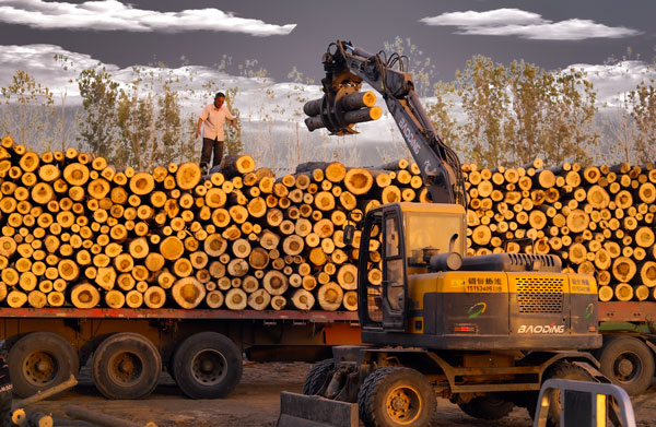 挖掘机抓木机和抓钢机有什么区别,轮式挖掘机抓木机徐工