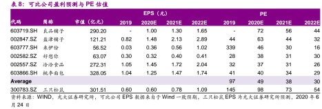 三只松鼠商机模式,三只松鼠的发展机会
