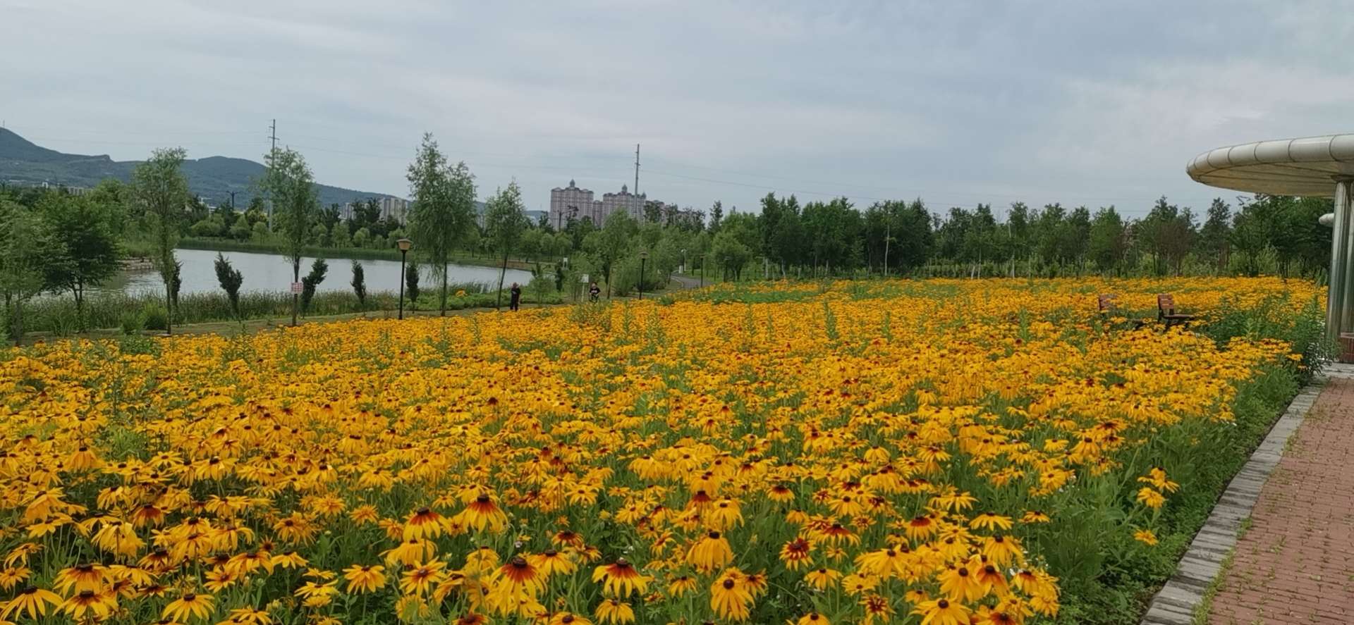 神奇的旅游城市,神奇的市区