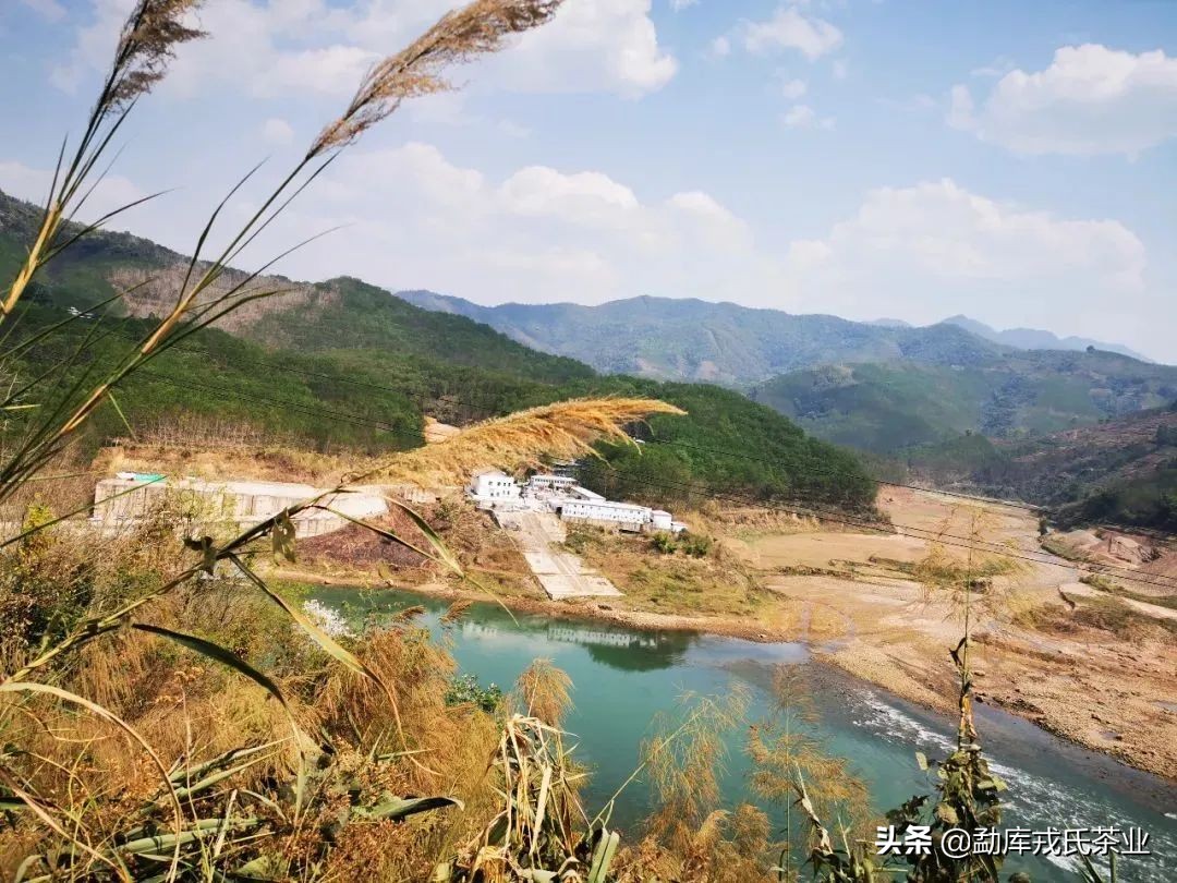 昔归临沧,昔归临沧之王