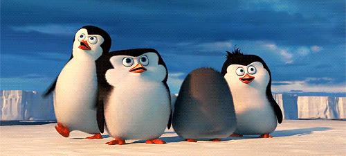 1只狐狸,36只企鹅被残忍猎杀