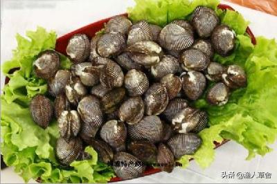 辽宁省大连知名农产品,辽宁省农产品地理标志产品都有啥