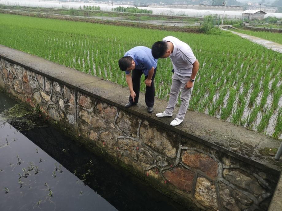 如何成为员额检察官,检察官助理如何成为员额制检察官