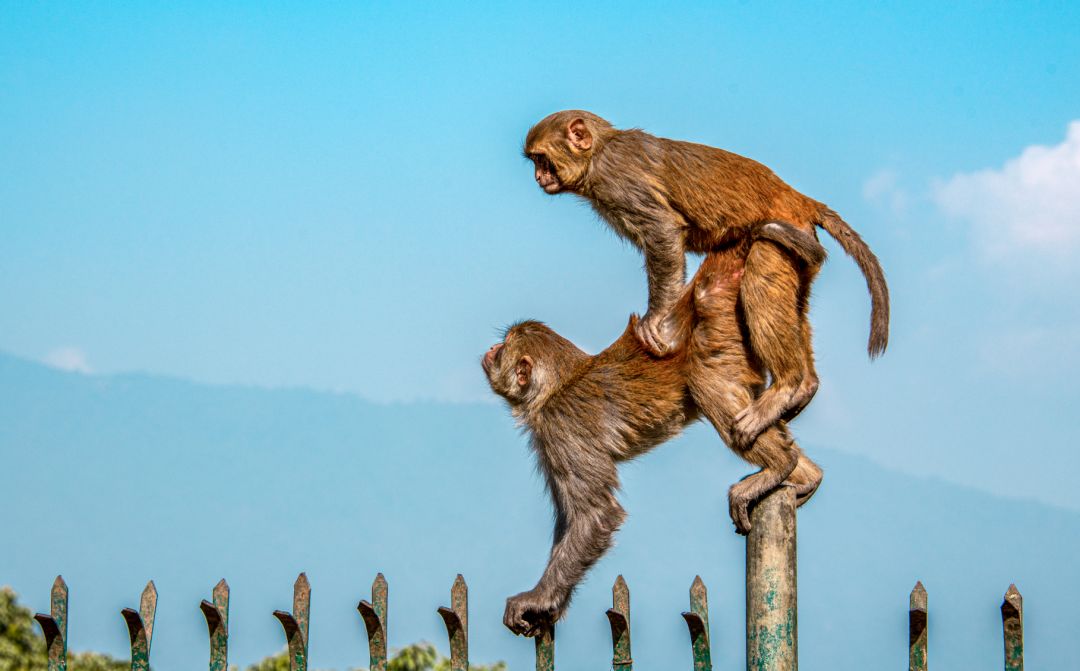 香港第14届全国摄影艺术展,第29届全国摄影艺术展览获奖名单