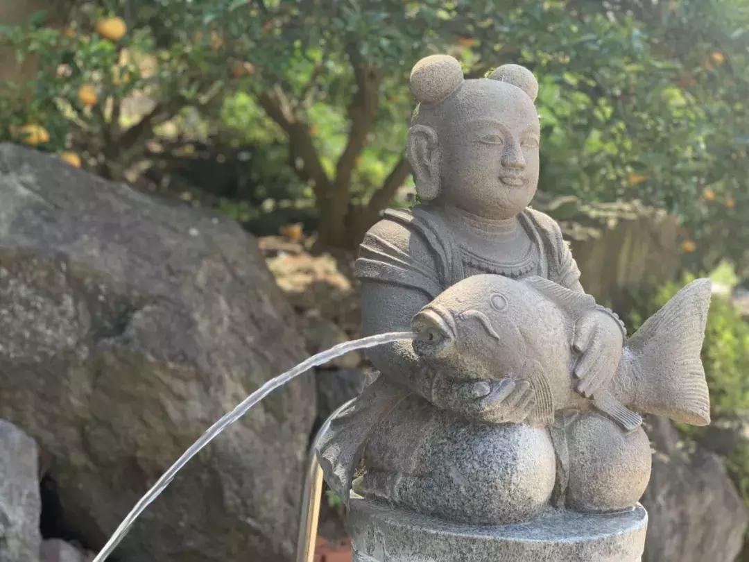 济州岛自由行详细攻略,济州岛自由行超实用攻略