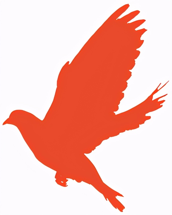 学党史知党恩征文个人,学党史知党史征文500字