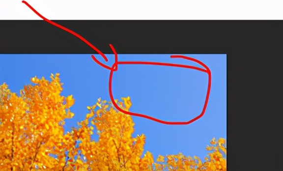 ps的基本面板参数在哪,ps的基础操作有哪些