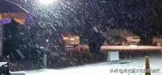 石家庄大雪来袭,石家庄大雪去哪了