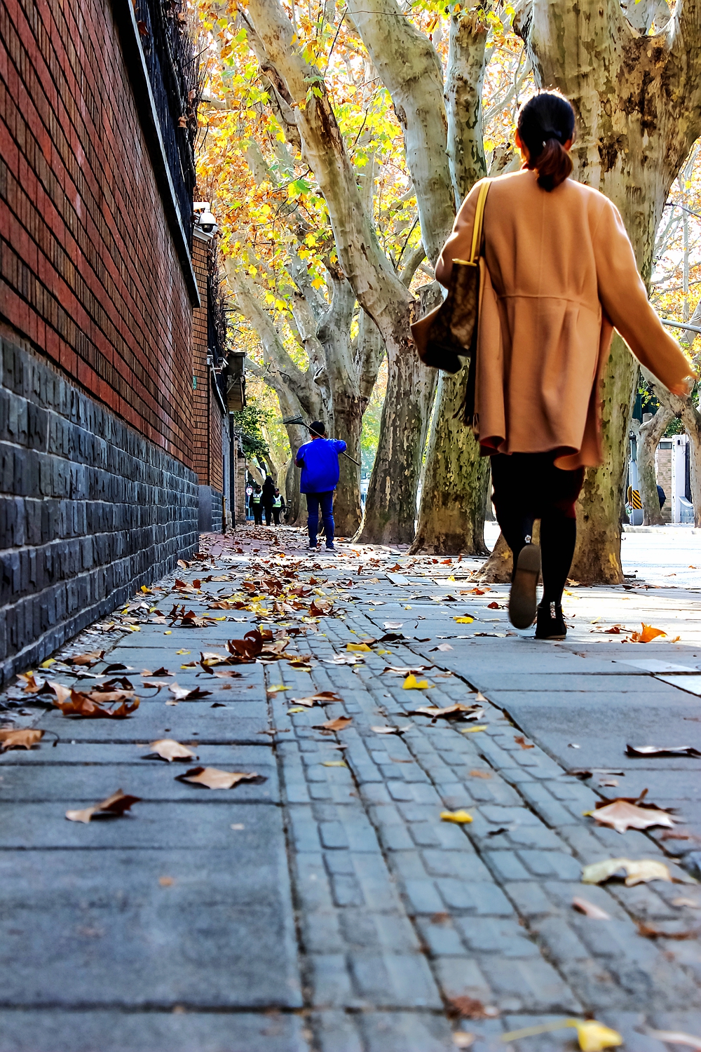 上海法租界一日游,上海旧法租界旅游攻略