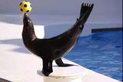 推荐熊孩子玩的游戏,周末去童趣熊儿童乐园玩