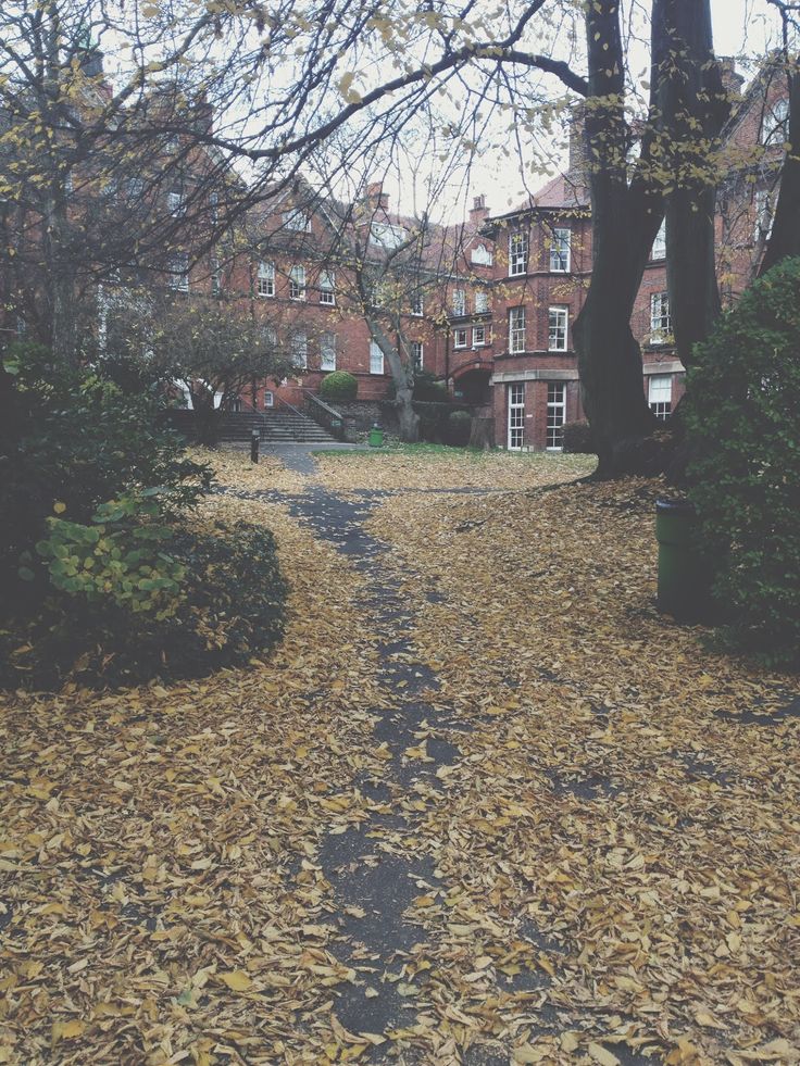 英国要越早申请越好吗,2021年办理英国签证需要什么材料