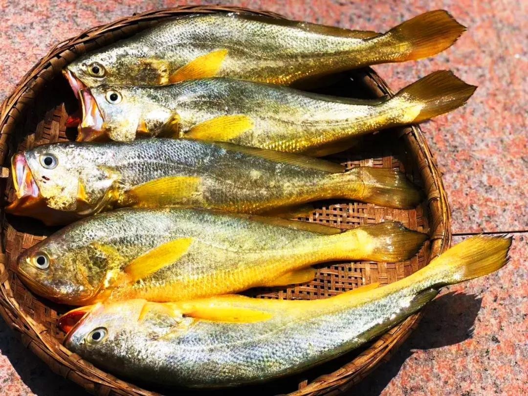 渔家女揭露海鲜市场黑幕,渔家女海鲜视频