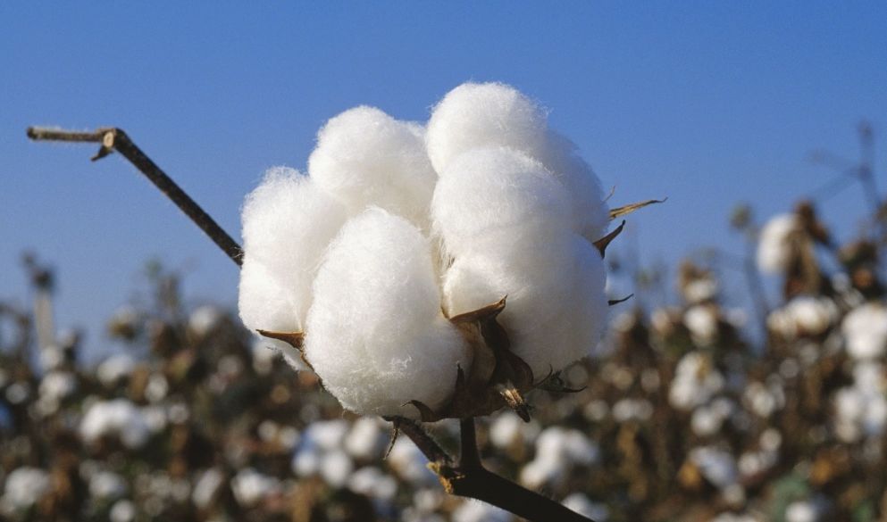 货主克扣运费我能把他的货拉走吗,货主给8000运费货车帮扣多少