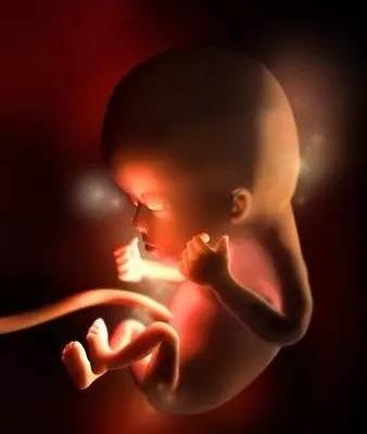 孕期婴儿发育过程大小变化,孕妇胎儿1到10个月视频