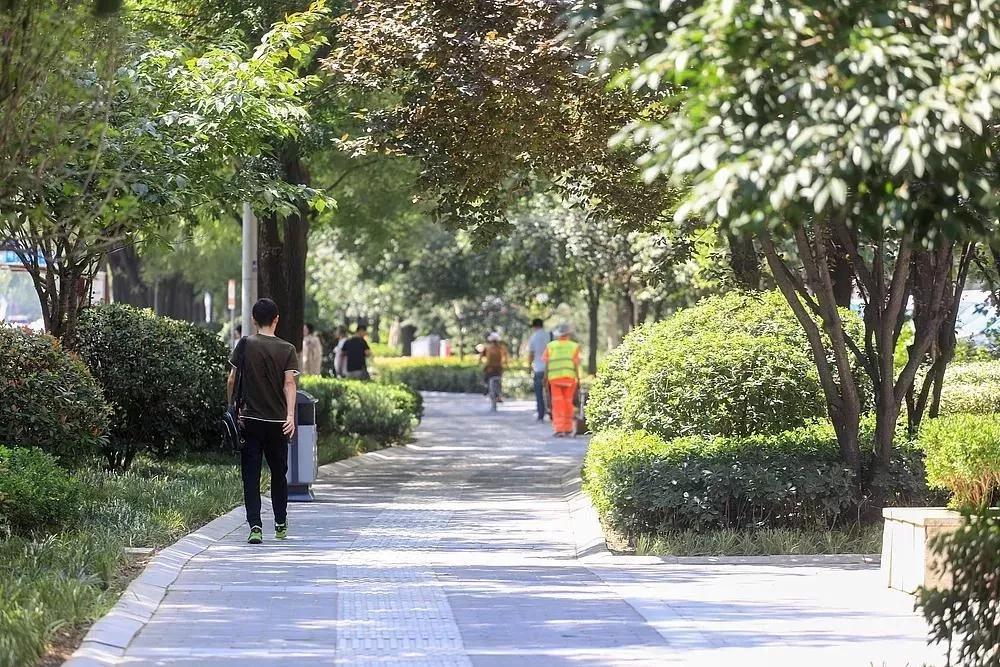 西安疫情房东减租最新消息,西安疫情房东政策最新消息