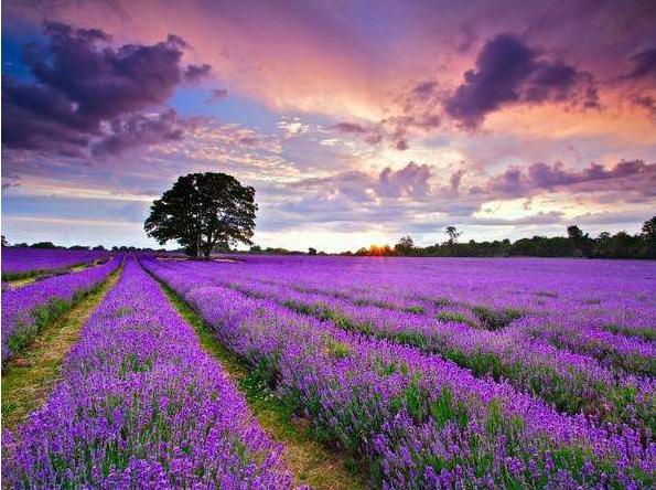 郑州情侣十大必去之地排行榜,郑州白天哪里好玩适合情侣的