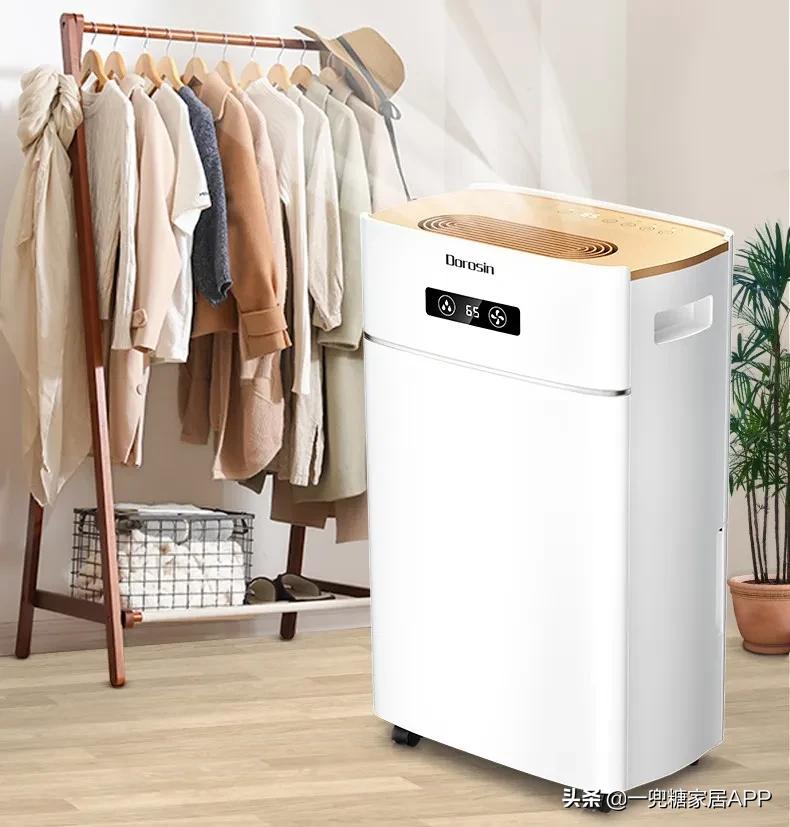 趁回南天还没杀到,我赶紧做了「*湿机除**」功课!(附屋主推荐款)