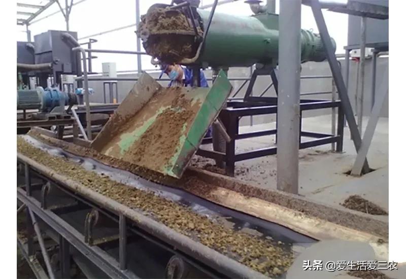 十大赚钱冷门生意,赚钱的冷门生意有哪些