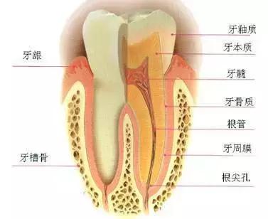 Helen榻跨涓績,helen榻跨
