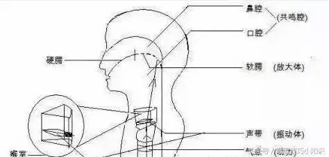 唱歌音域太窄怎么办,唱歌音准不够高怎么办
