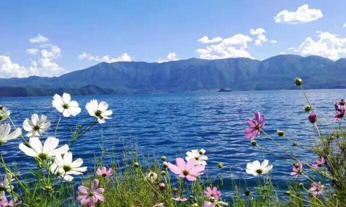 微信聊天的20个潜规则你知道几个 (微信聊天潜规则有哪些)