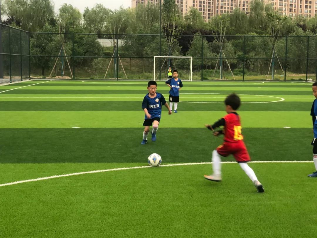 秦汉杯足球联赛官网入口,2021陕西联盟杯青少年足球赛