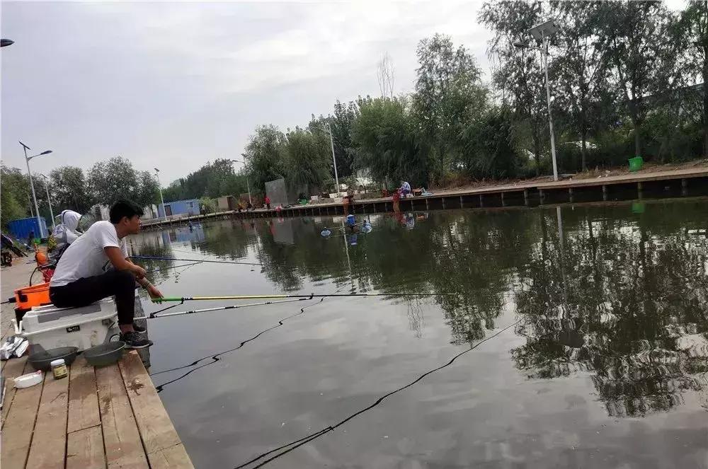 案例分析：窝子冒泡，漂却不动