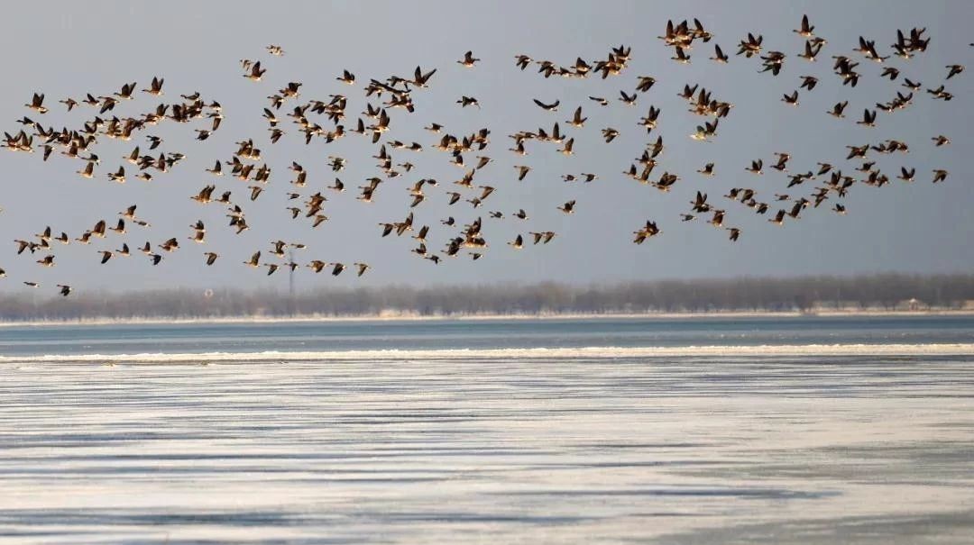 这些地方颜值逆天，却被土到掉渣的名字坑惨了