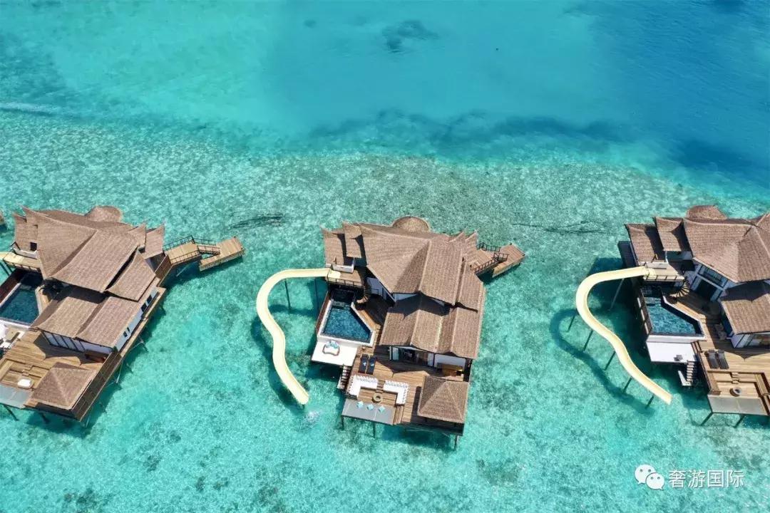马尔代夫jv岛攻略,马尔代夫v岛