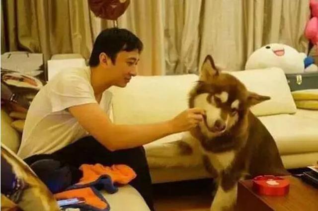 王思聪住的房子有多大,王思聪住的房子多大