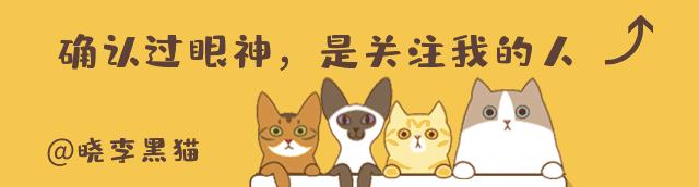 猫咪如何有大眼睛,猫咪为什么有大眼睛和小眼睛