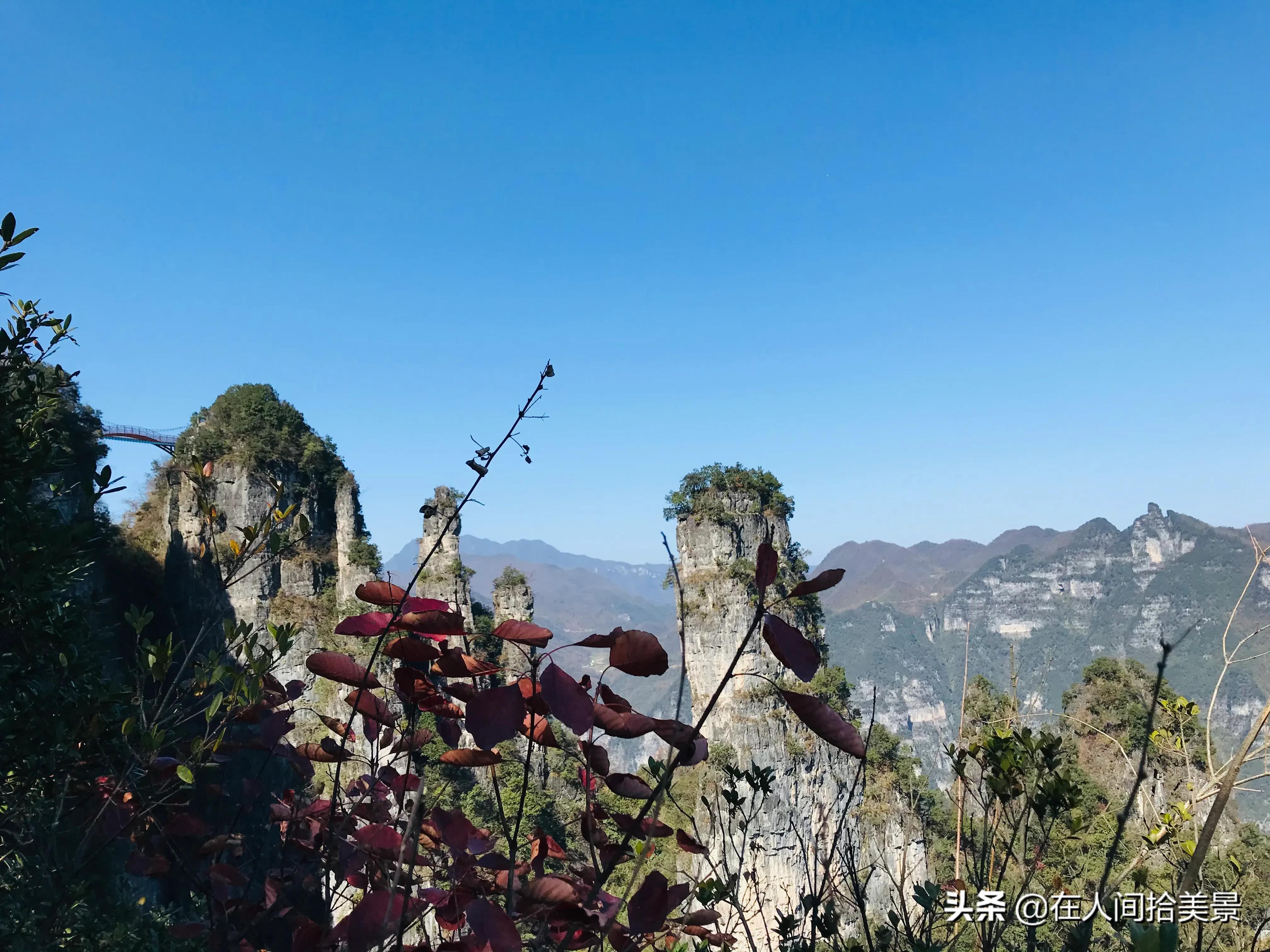 湖北宜昌柴埠溪大峡谷风景区,五峰柴埠溪大峡谷游客