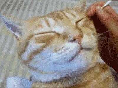 用棉签掏耳朵不小心掏出血,棉签掏耳朵严重后果