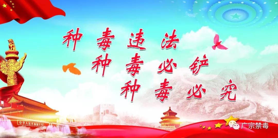 警惕披上外衣的新型毒品,警惕伪装的新型毒品