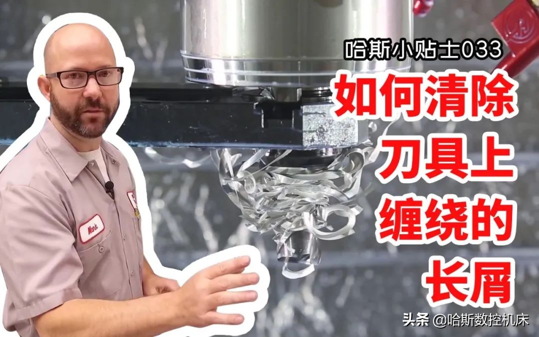 最受欢迎的哈斯,哈斯小贴士