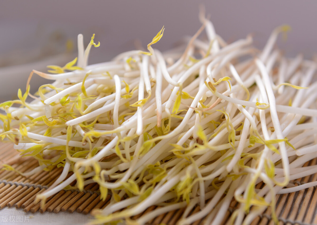 狗狗护食严重用好这3招就可解决,对狗狗危害大的食物