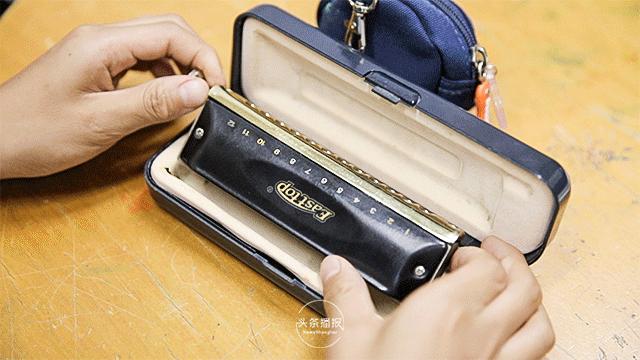 这群来自全国各地的「小候鸟」,温暖了整个上海