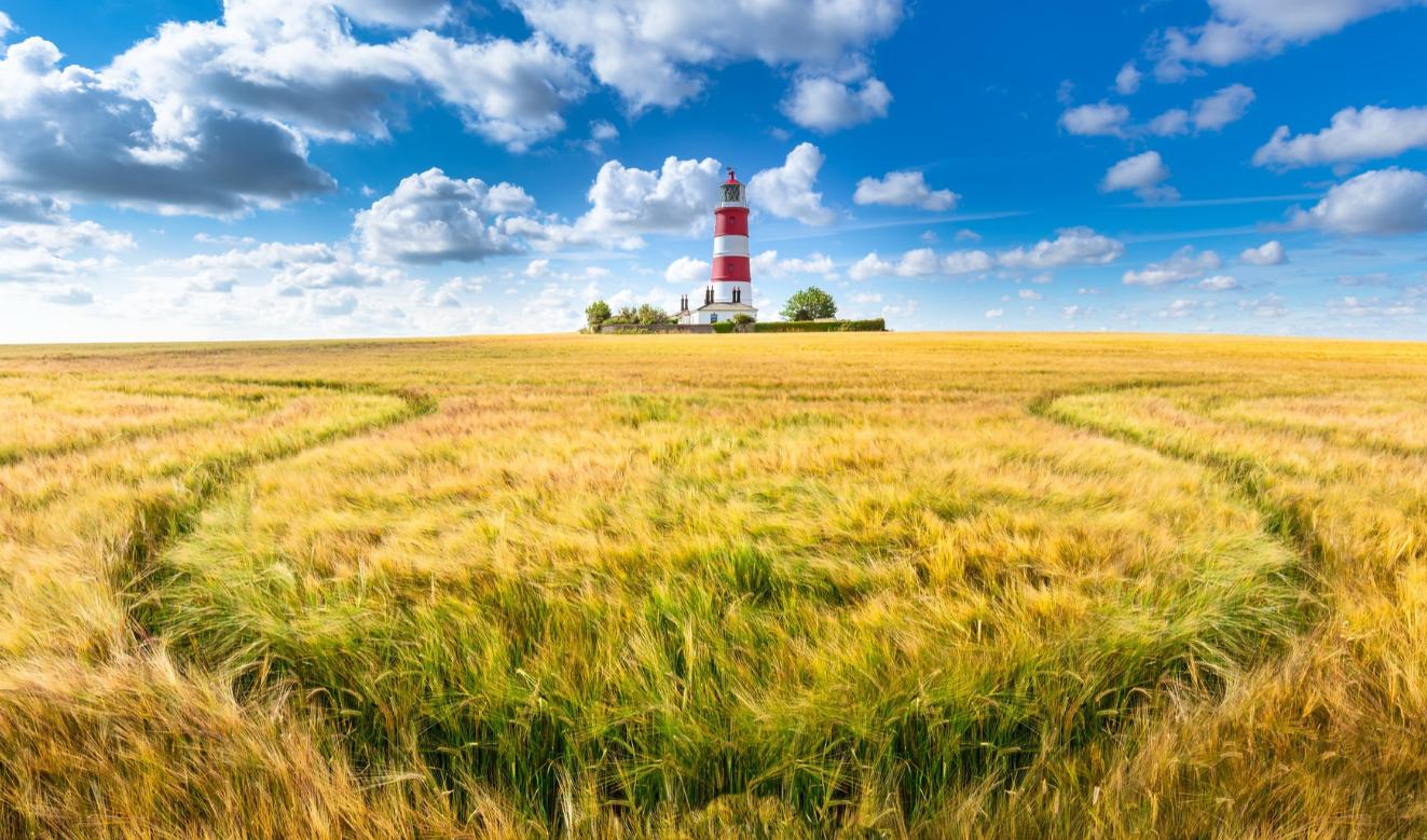 深藏不露低调到令人害怕的星座,城府极深的五个星座狡猾堪比狐狸