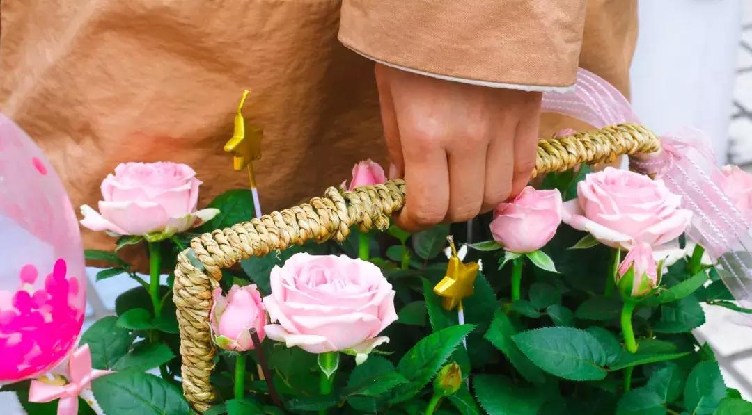 厦门这家超浪漫的鲜花餐厅,厦门最好看的花店