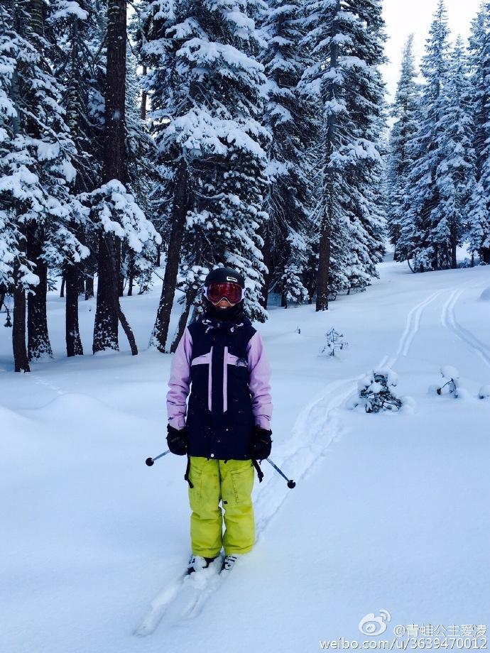 鐖芥枃澶╂墠瀛﹂湼,鐖芥枃灏忚澶╂墠瀛﹂湼